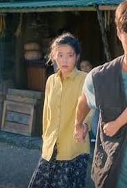 The Blazing Summer Sunshine